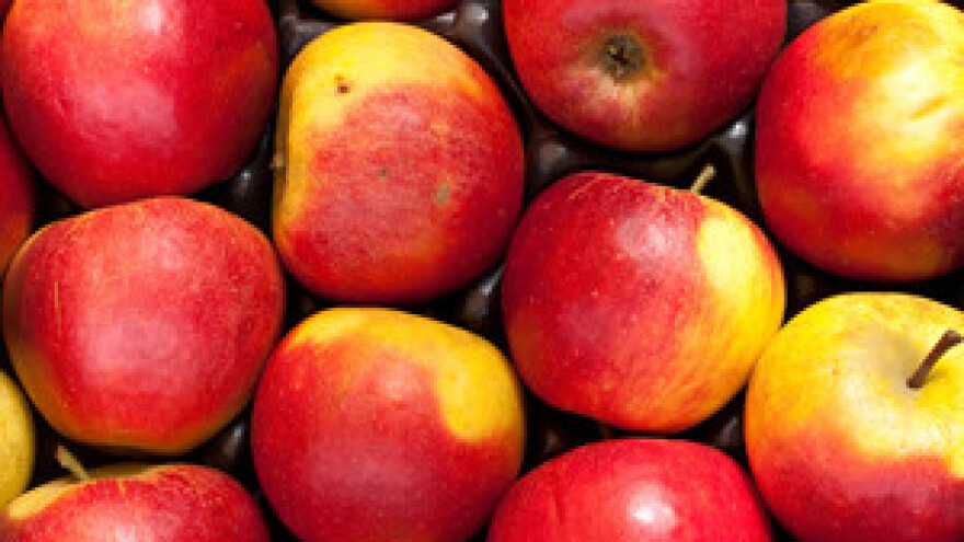 Jedanaesta izložba jabuka u Velikoj Gorici