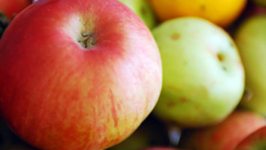 Upitna budućnost uzgajivača jabuka