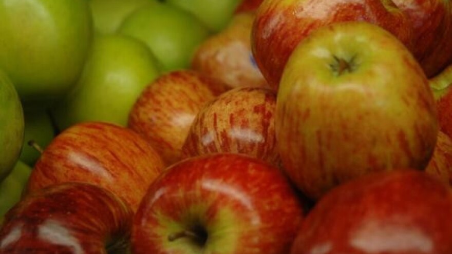 Dan voćarstva u Osijeku