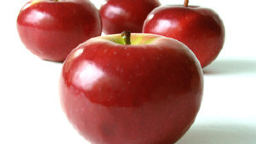 Syngentini savjeti za zaštitu voćaka