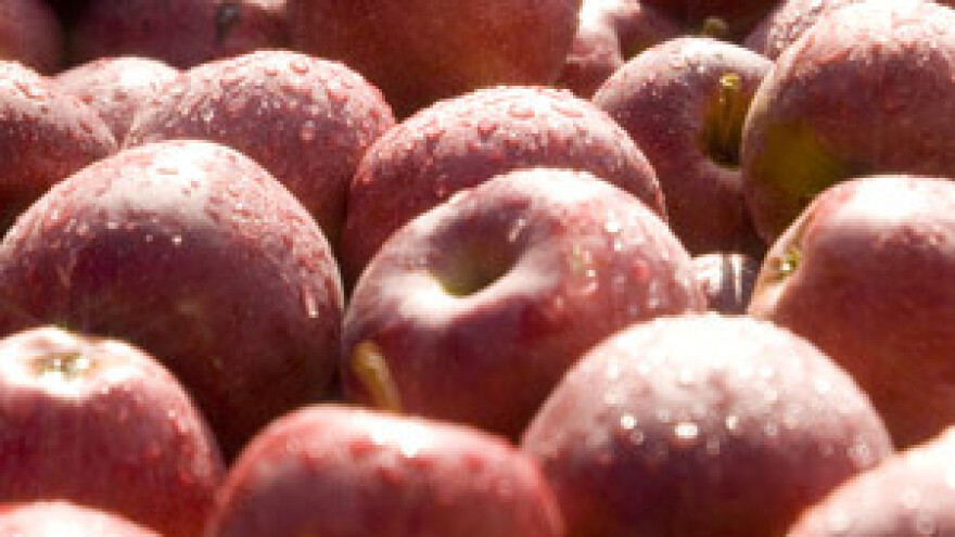 Radionica u sklopu projekta "Jabuka.net 2"