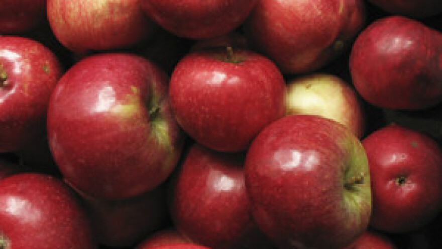 Ekološkom proizvodnjom do većih poticaja i boljeg plasmana