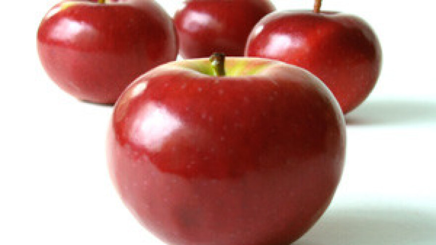 Ljetna zaštita jabuke