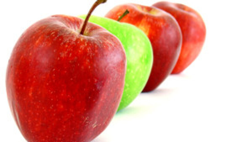 Baranjski voćnjaci izvoze sadnice u EU