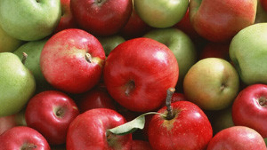 Na uvoz voća potrošili tri milijarde dolara