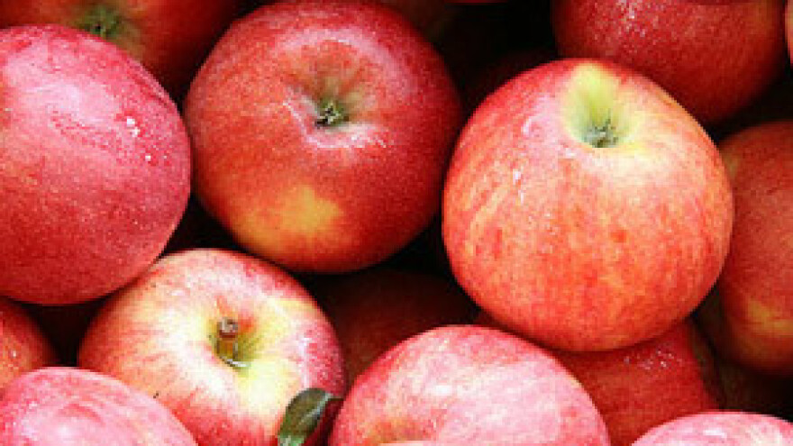 Jabučini dani 2011.