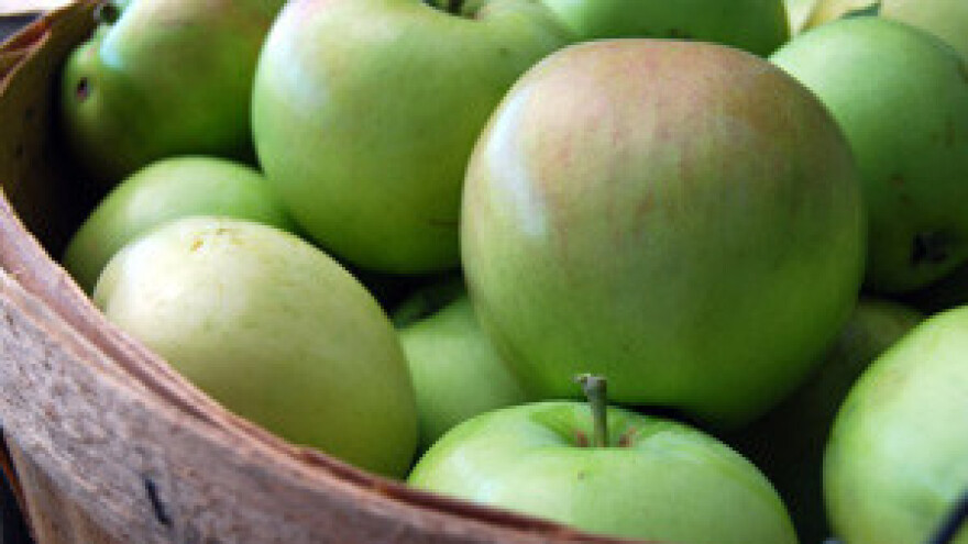 Najlošija godina za uzgajivače jabuka