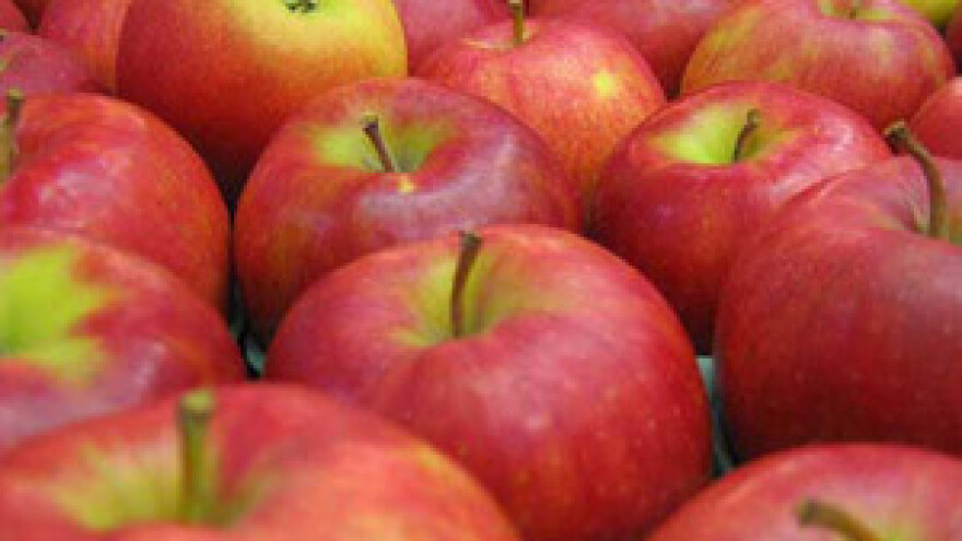 Novi zakon o zadrugama