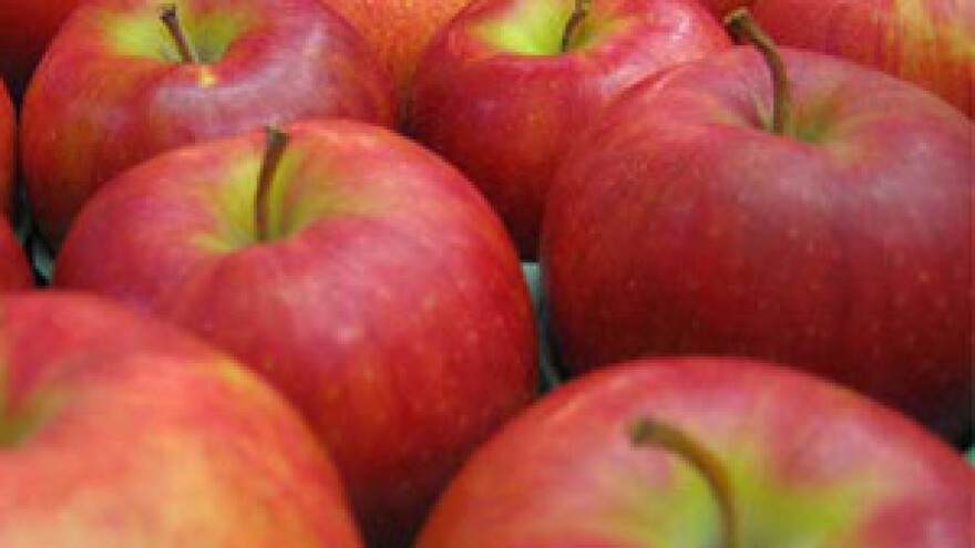 Završeni Jabučni dani 2011.