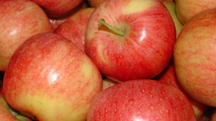 Radionica u sklopu projekta "Jabuka.net 2" u Srbiji