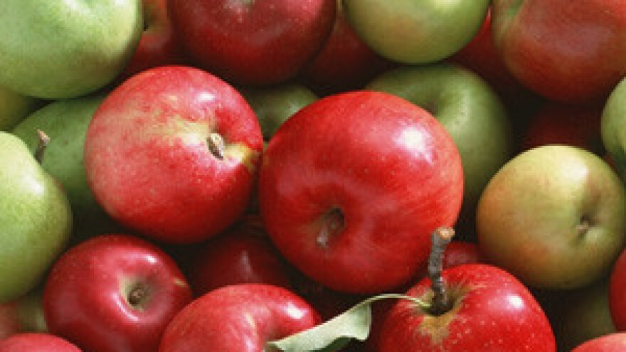 Urod jabuka upola slabiji nego lani