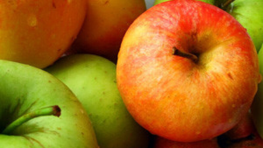 Dani jabuka - Požega 2011.