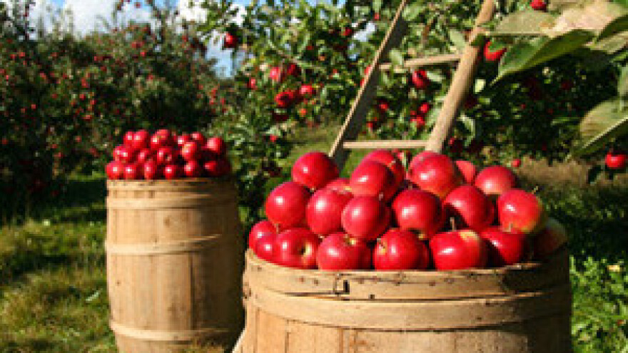 Antistresna mikrobiološka i organska gnojiva u voćarskoj proizvodnji