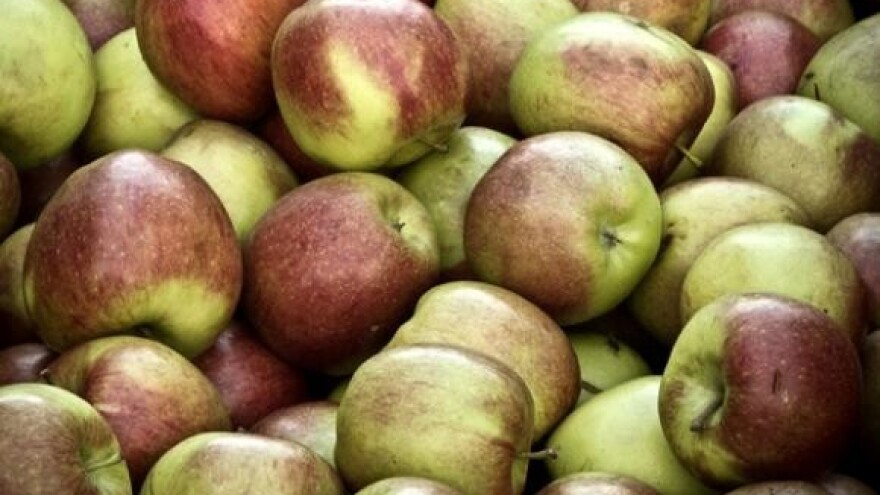 Zbog suše jabuka više za preradu nego za jelo