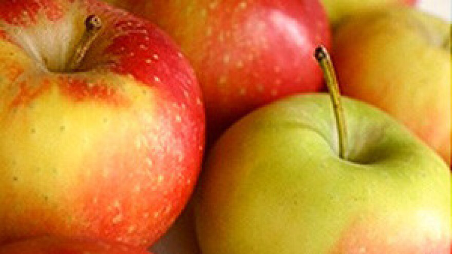 Učenici proizvode eko-voće, a uskoro će imati i farmu krava