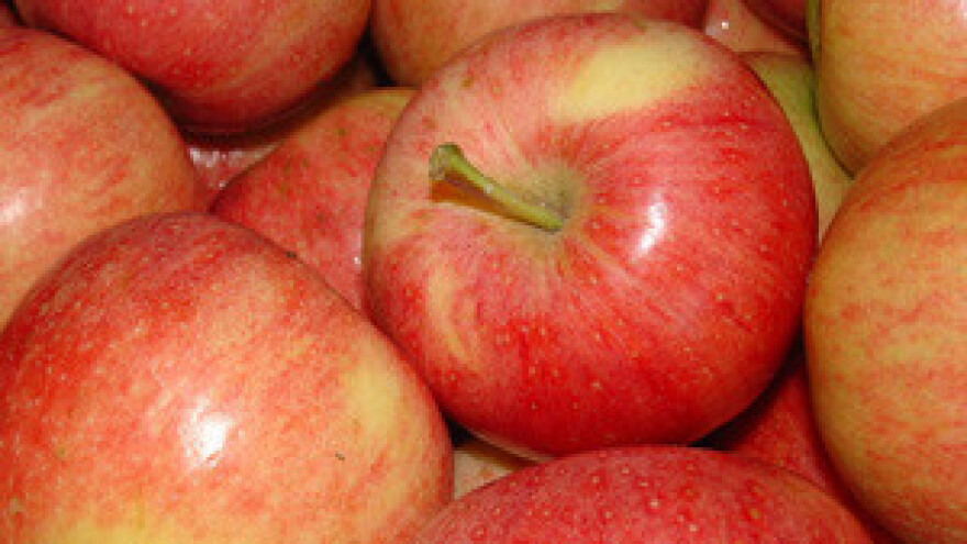 Sedmo znanstveno-stručno savjetovanje hrvatskih voćara