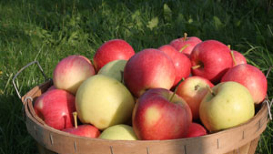 Predavanje o ekološkoj poljoprivredi u Donjoj Stubici
