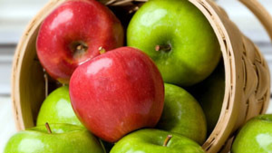 Radionica u sklopu projekta JABUKA.NET 2