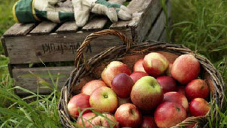 Pojednostavljeno prijavljivanje sezonaca smanjuje rad na crno