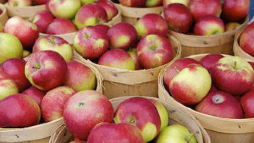 Radionica u sklopu projekta JABUKA.NET 2 u Šagu