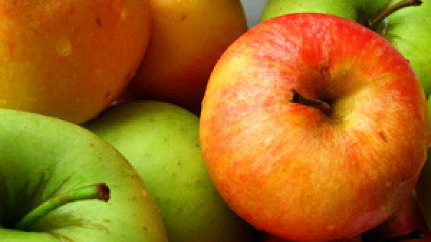 Zahtjevna prilagodba domaćeg agrara Europskoj uniji