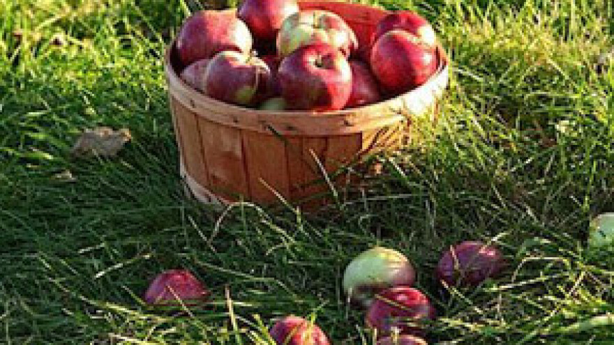 Vaučeri za sezonske radnike u poljoprivredi