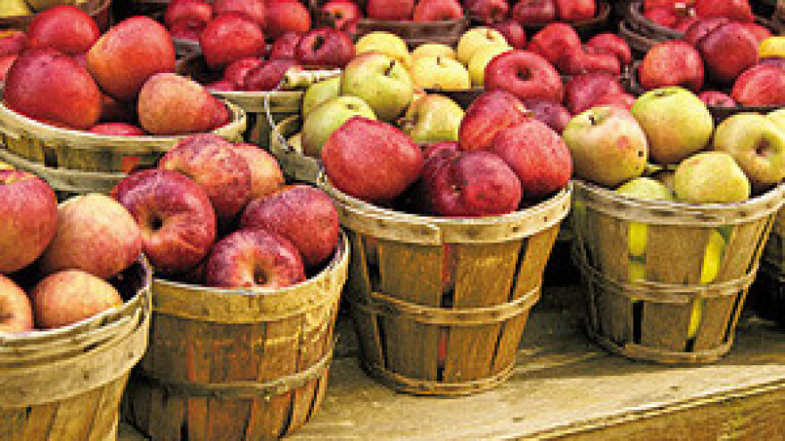 Voćari nespremni za Europsku uniju