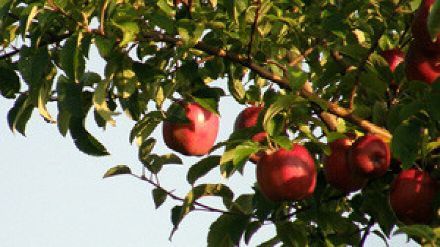 Teško do novaca iz EU fondova