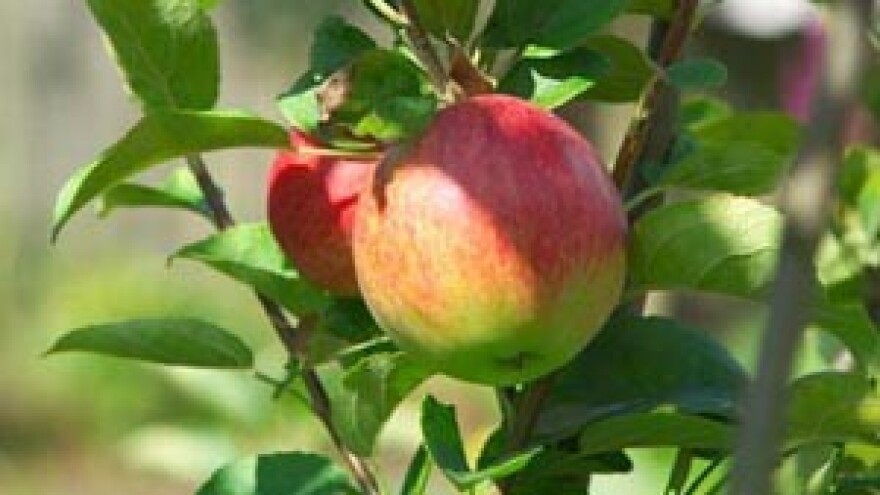 Europski standardi u suzbijanju štetnika