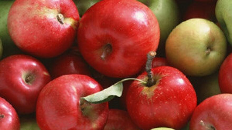 Osijek će biti sjedište regionalnog klastera