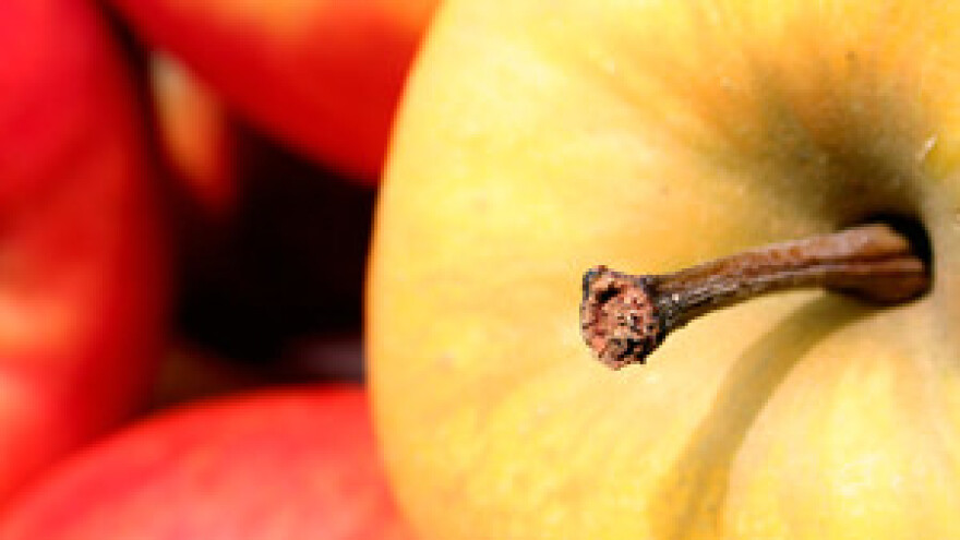 Urod jabuka bit će manji i do 90%!