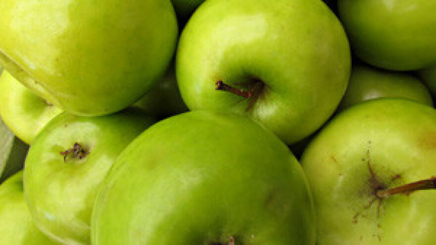 Radionica u sklopu projekta JABUKA.NET 2 u Osijeku