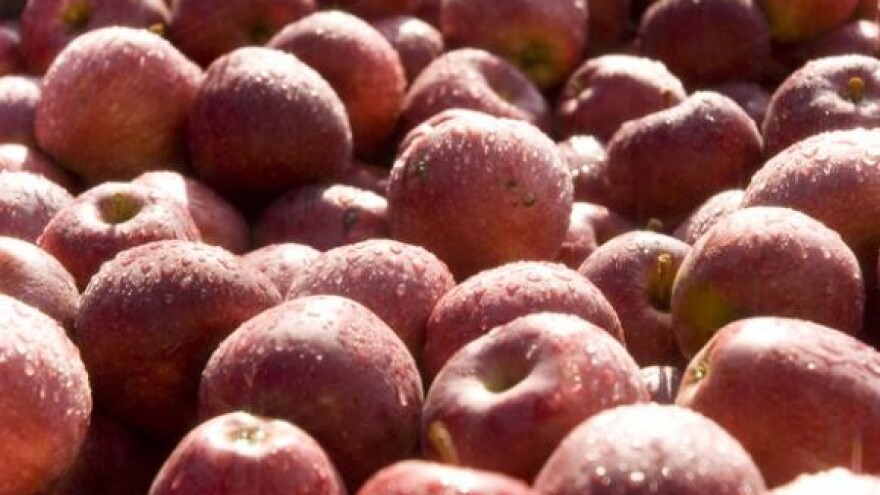 Voćnjaci rodili, problem hladnjače