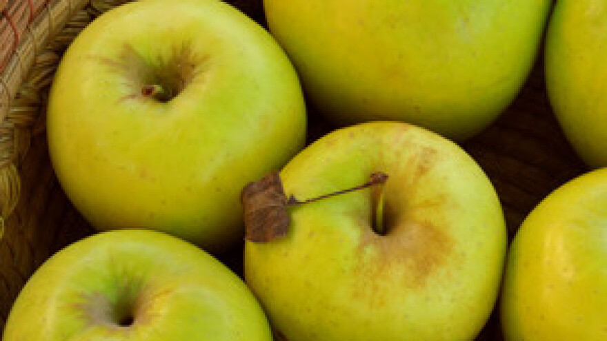 Okrugli stol na temu: Tumačenje Zakona o sezonskom zapošljavanju u poljoprivredi