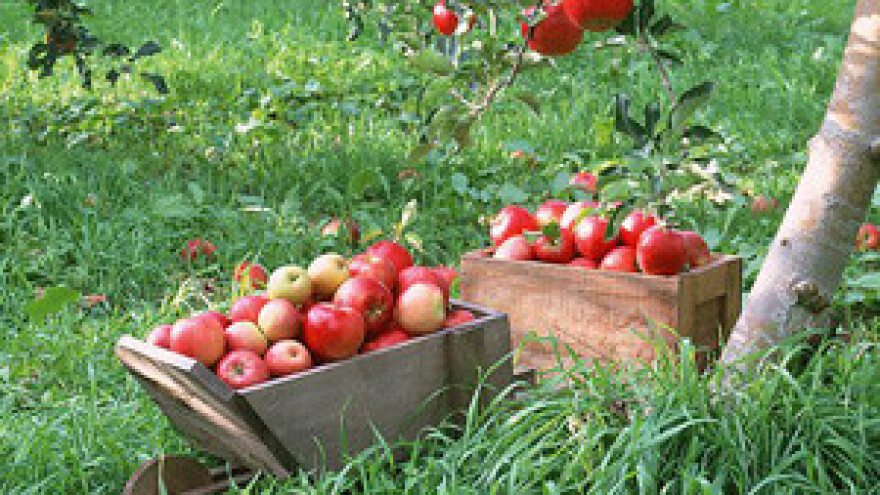 Inspektori krenuli u lov na "ilegalce" u poljoprivredi