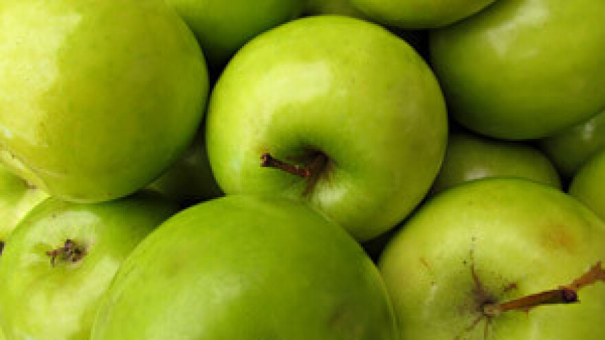 Novac koji zaradi na jabukama pretvara u novi voćnjak