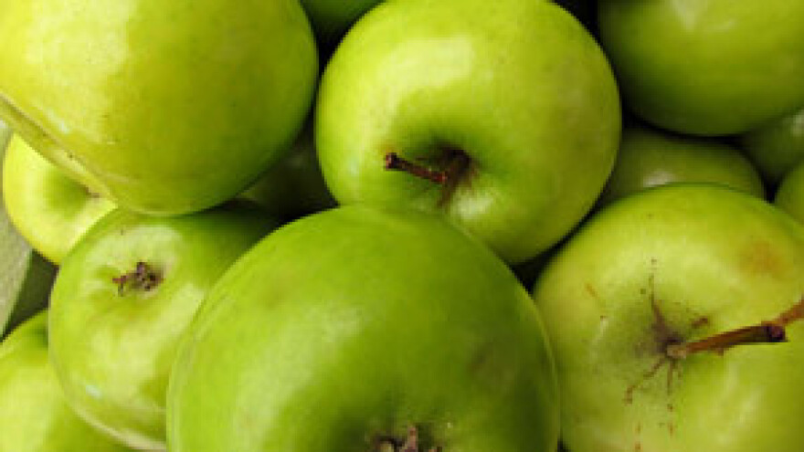 Napredni voćnjak Ivana Lovakovića pobjedio sušu