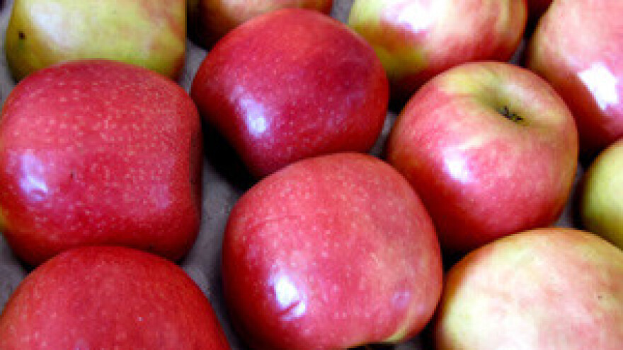 Agencija isplatila 4,5 milijuna kuna za 3 IPARD projekta