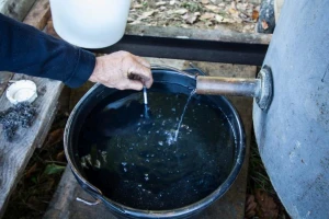 Jabukovača bolja ako se miješa više sorti jabuka