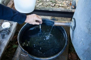 Jabukovača bolja ako se meša više sorti jabuka