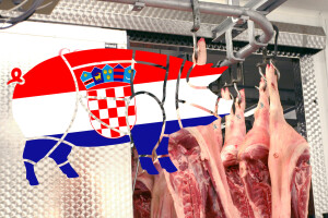 Kuda idu hrvatske svinje?