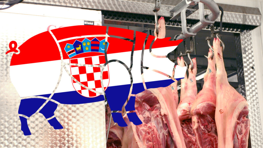 Kuda idu hrvatske svinje?