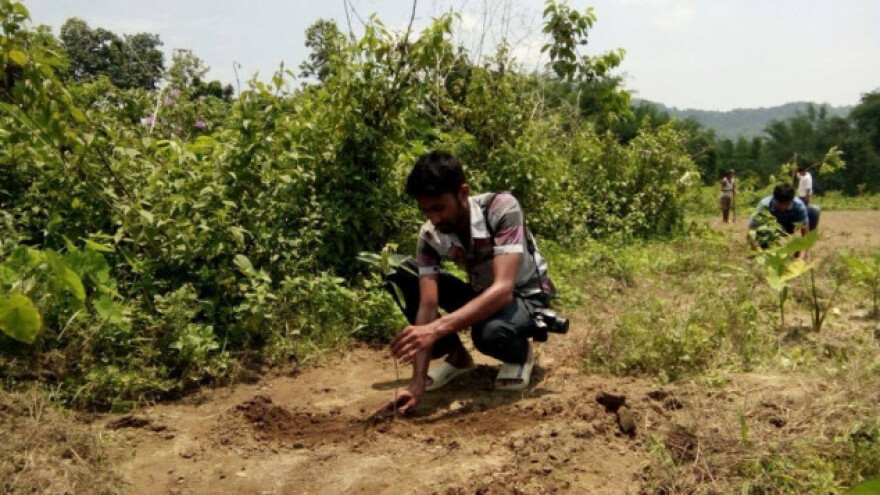 Jadav Payeng zasadio šumu od 1.200 ha na pješčanoj adi