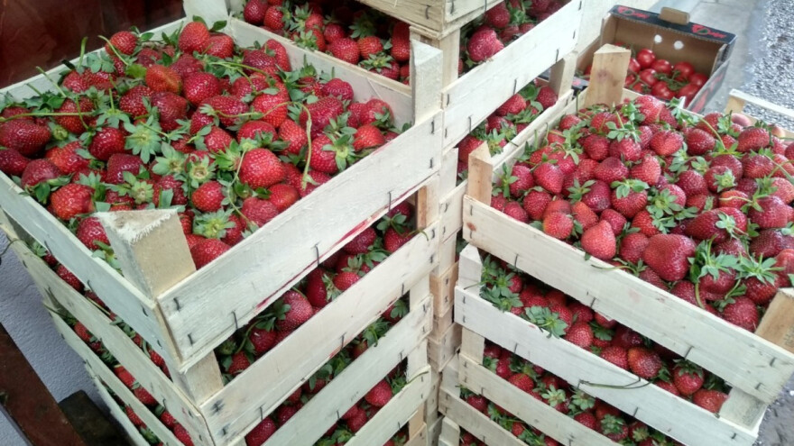 Stigle domaće jagode, koliko koštaju?