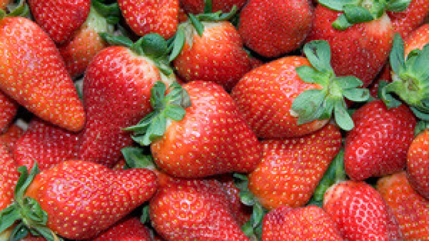 Nikolina želja - radom do uspjeha