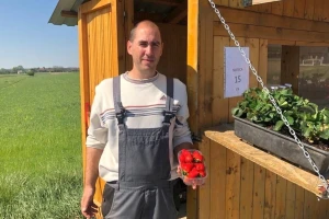 Beru ih do studenoga, a Božidar Hrenković kaže: nikada lakše nisam prodao jagode