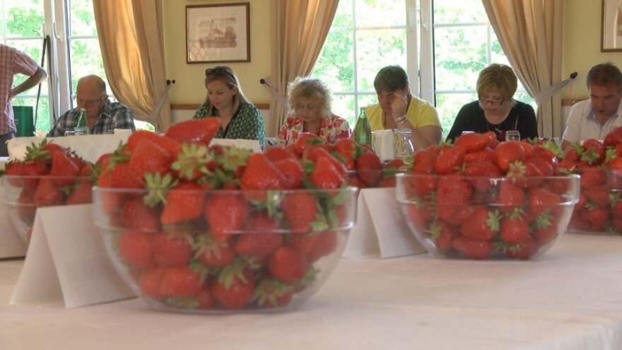 Jagode Alba najbolje od najboljih!