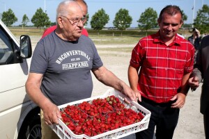 Jeftine uvozne jagode natjerale domaće uzgajivače u prosvjed: Čemu toliki uvoz kad proizvodimo dovoljno?