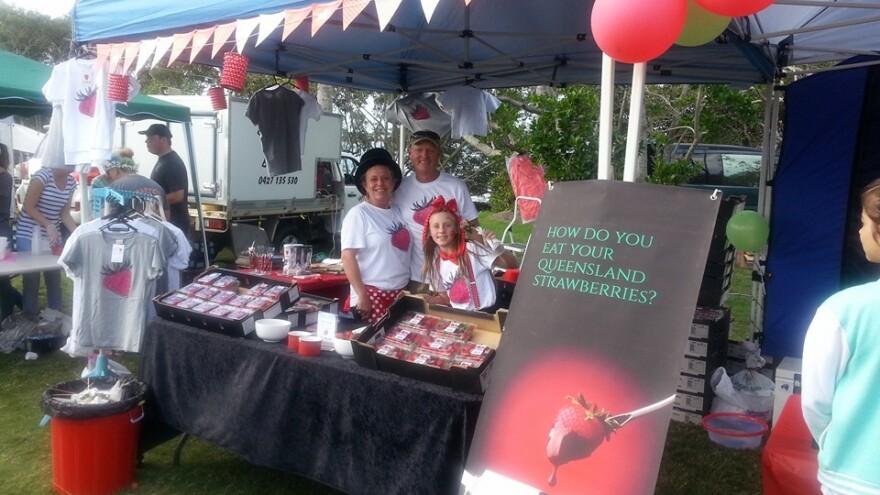 Spasili jagode od propadanja, proizvode zdravi prašak