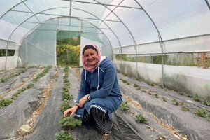 Mevlija Zečić: Evropska metoda berbe najisplativija, sve jagode rasprodam